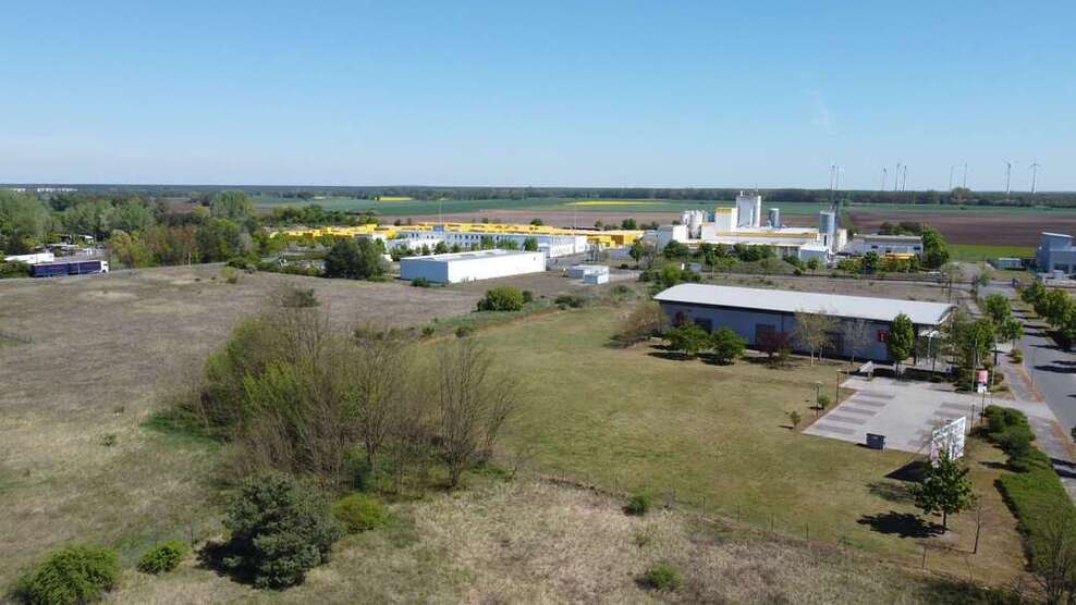 Halle in Brück 349.000 € 250 m²