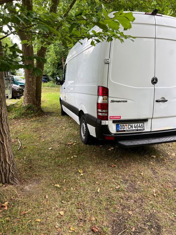 Sprinter