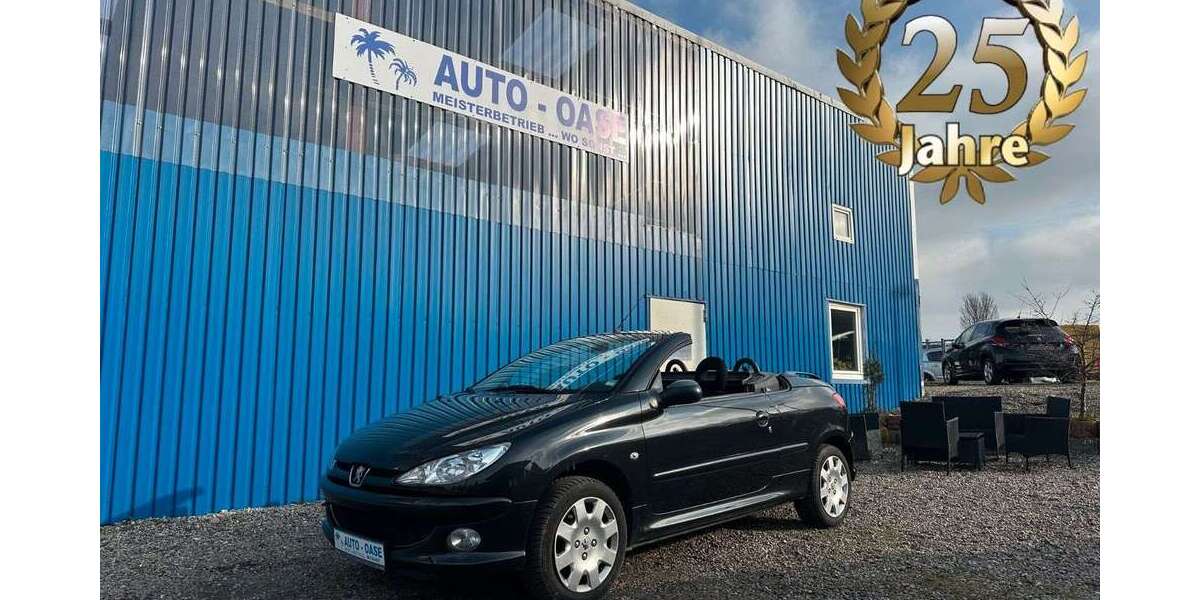 Peugeot 206 138.511 km 3.990 &euro; Flensburg 24941