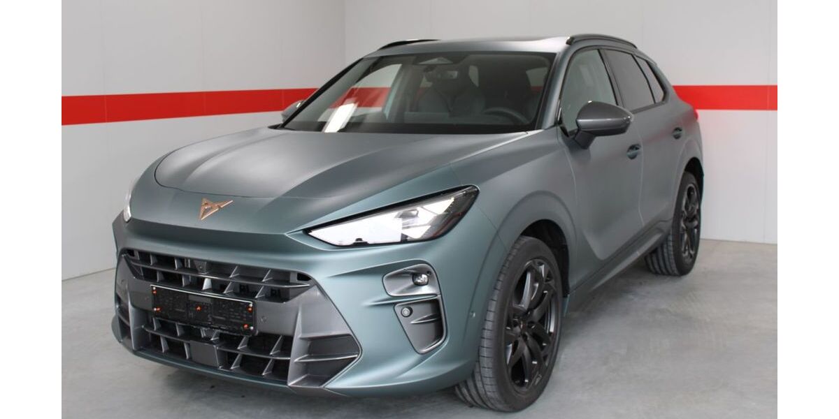 Cupra Terramar 2.600 km 51.999 &euro; Althengstett 75382