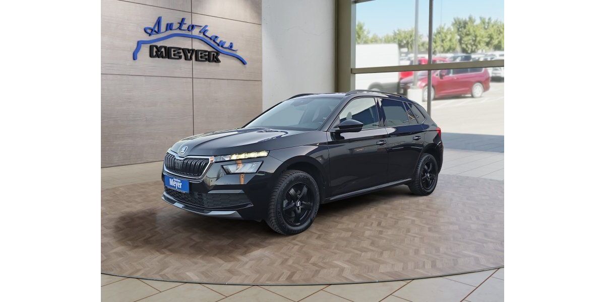 Skoda Kamiq 107.000 km 16.700 &euro; Hohenwarsleben bei Magdeburg 39326