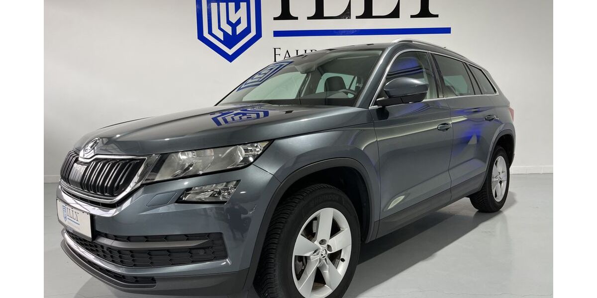 Skoda Kodiaq 183.236 km 15.950 &euro; Hatten | Sandkrug 26209