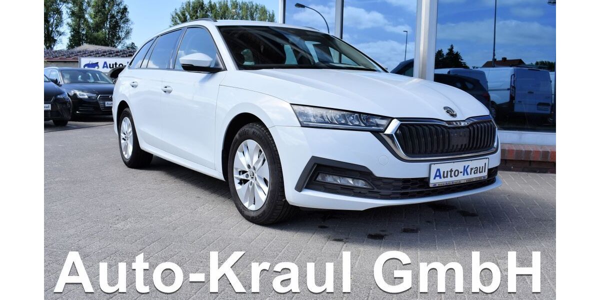 Skoda Octavia 86.298 km 19.349 &euro; Rehna 19217