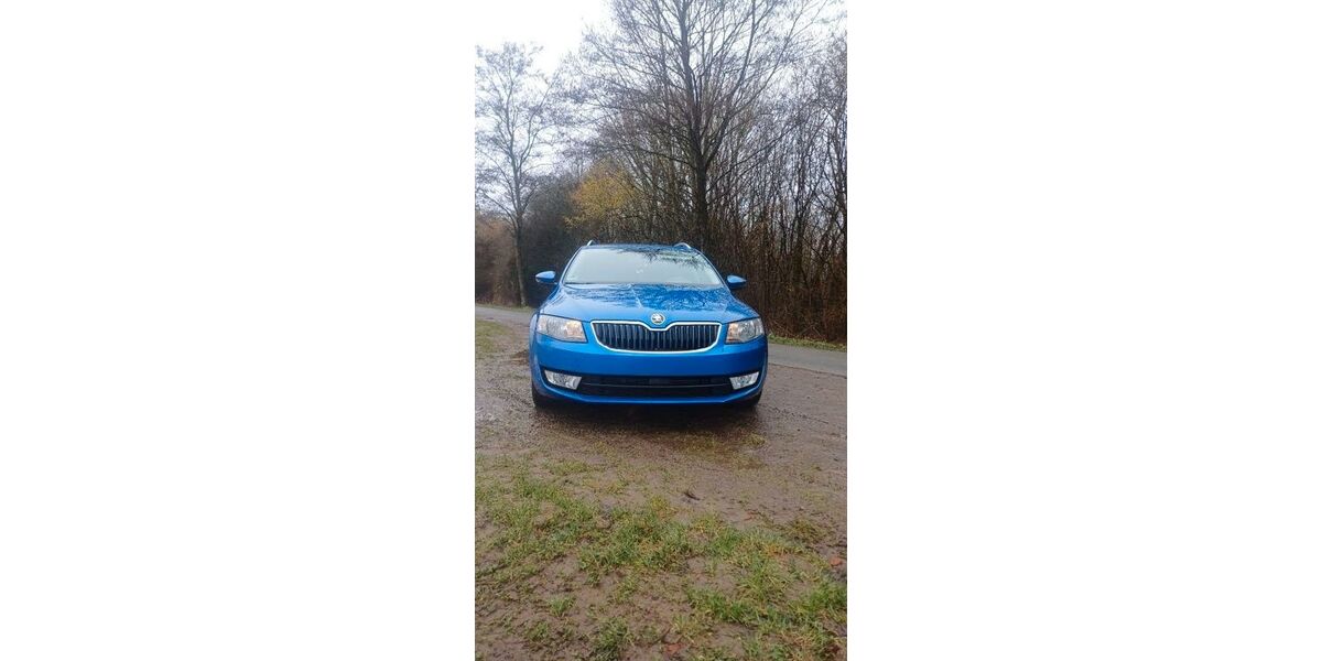 Skoda Octavia 220.000 km 5.600 &euro; Herzberg am Harz 37412