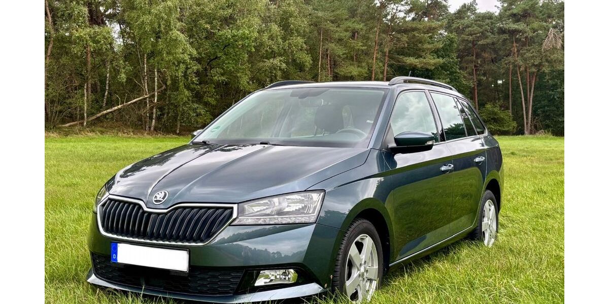 Skoda Fabia 70.570 km 13.000 &euro; Wagenfeld 49419