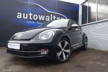 VW Beetle