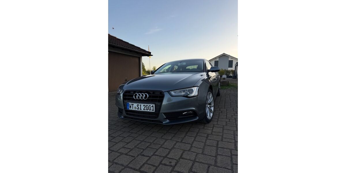 Audi A5 310.000 km 8.900 &euro; Rickenbach 79736