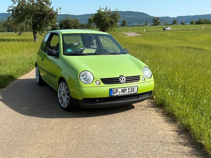 Lupo