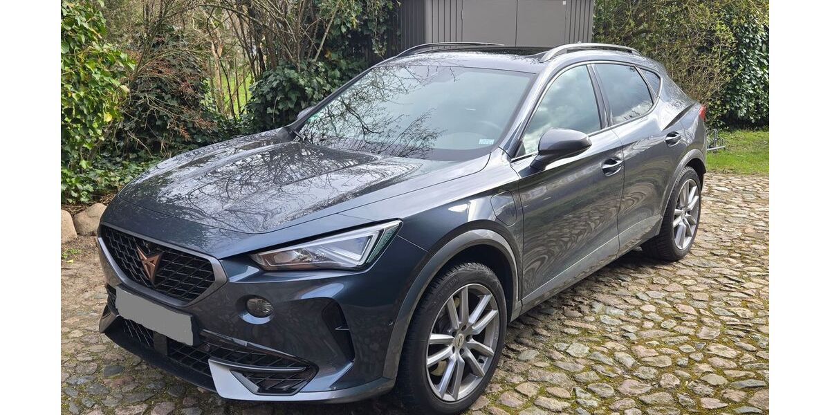 Cupra Formentor 66.500 km 24.700 &euro; Einhaus 23911