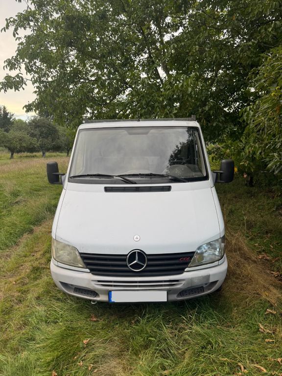 Sprinter