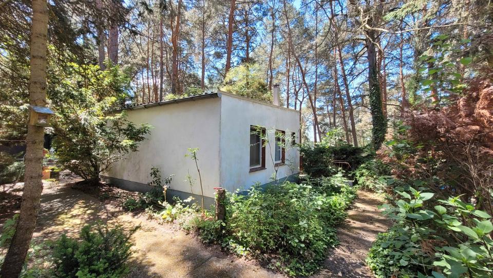 Bungalow Märkische Heide - 3 Zimmer, 36 m&sup2;, 29.501&euro; | Angebot:27132675
