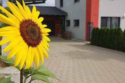 Naturnahes Wohnen vor den Toren Augsburgs (*provisionsfrei*) zimmer