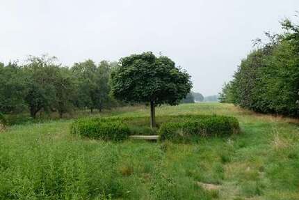 Grundstück Winsen - 299.000&euro; | Angebot:22613611