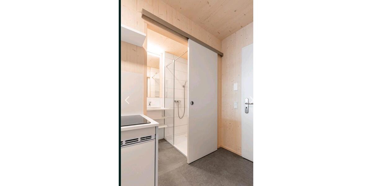 Wohnen auf Zeit Mainz Finthen - 1 Zimmer, 24 m&sup2;, 540&euro; | Angebot:26704785