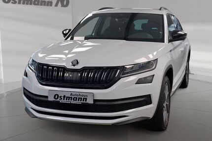 Skoda Kodiaq 42.293 km 35.910 € Wolfhagen 34466