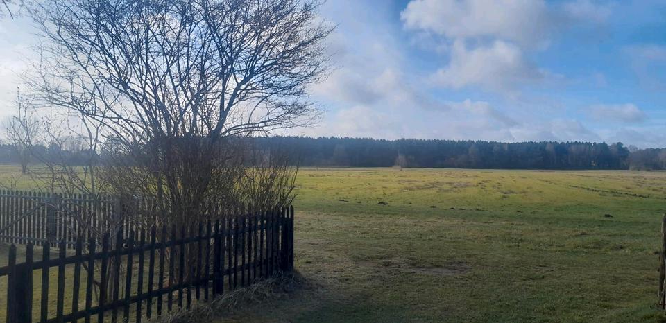 Bungalow Wandlitz - 2 Zimmer, 24 m&sup2;, 120.000&euro; | Angebot:26049978