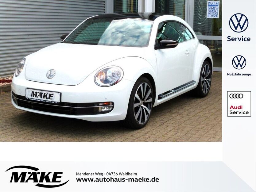 Beetle