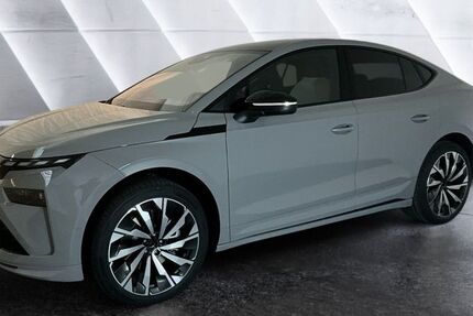 Skoda Enyaq 2.819 km 48.990 &euro; Neuruppin 16816