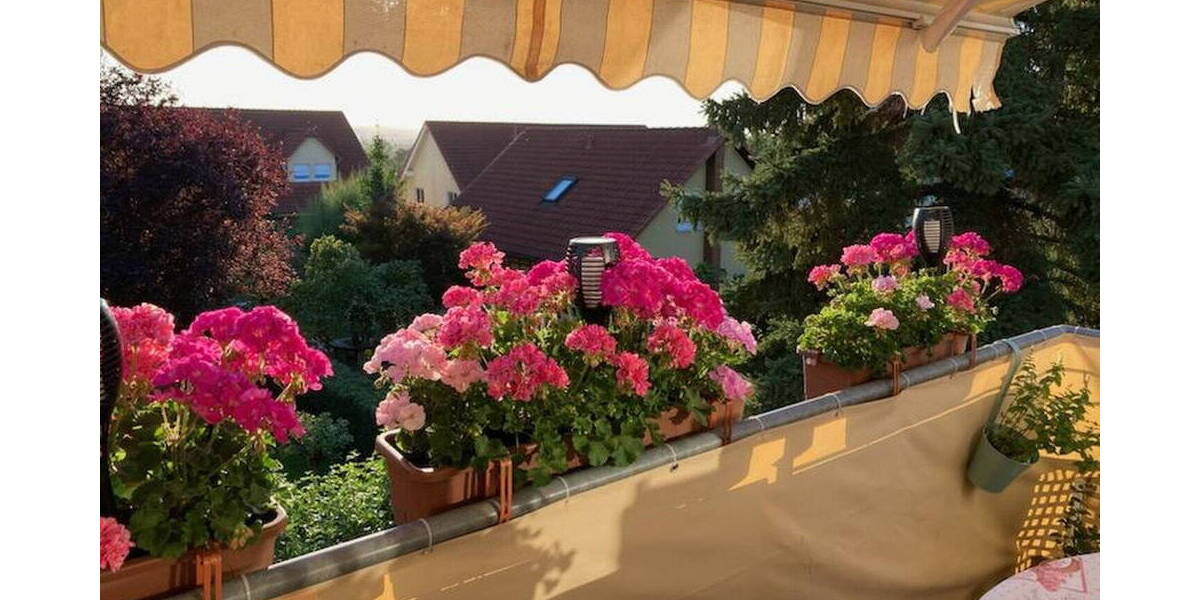 Etagenwohnung Pirna - 2 Zimmer, 52 m&sup2;, 129.000&euro; | Angebot:26290125