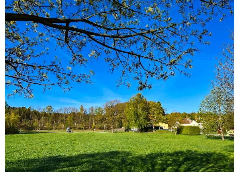 Haus zum Kaufen in Ringenhain 230.000 € 74.69 m²