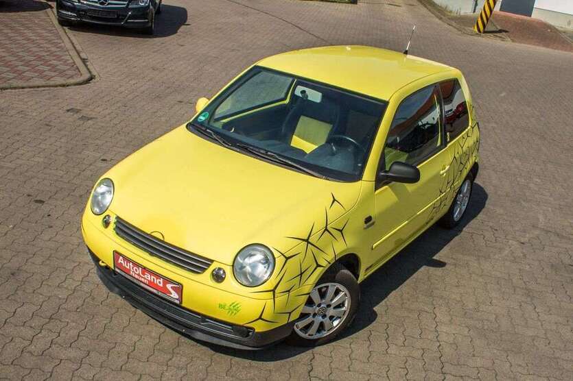 Lupo
