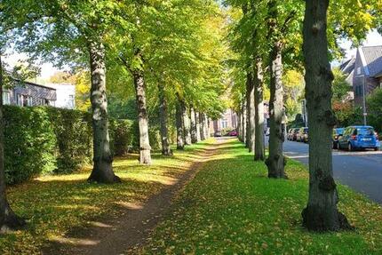 Wohnung Sehnde - 2 Zimmer, 68 m&sup2;, 790&euro; | Angebot:25198596