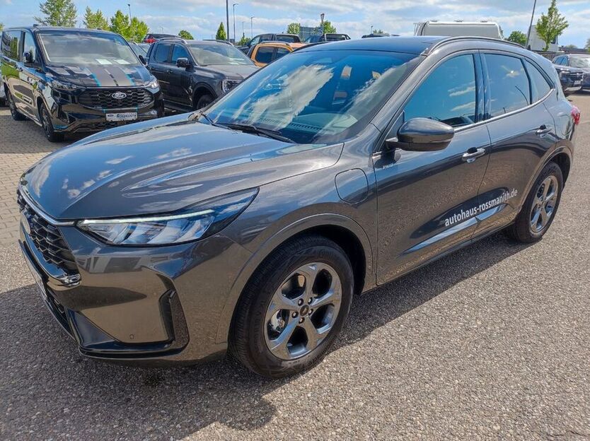 Kuga