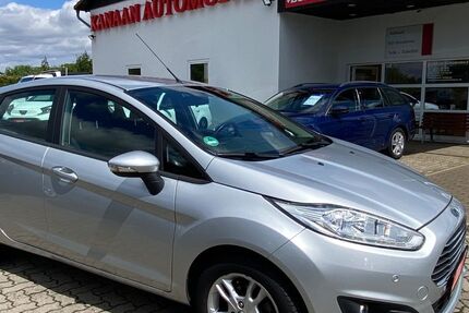 Ford Fiesta 79.000 km 6.900 &euro; Goslar 38644