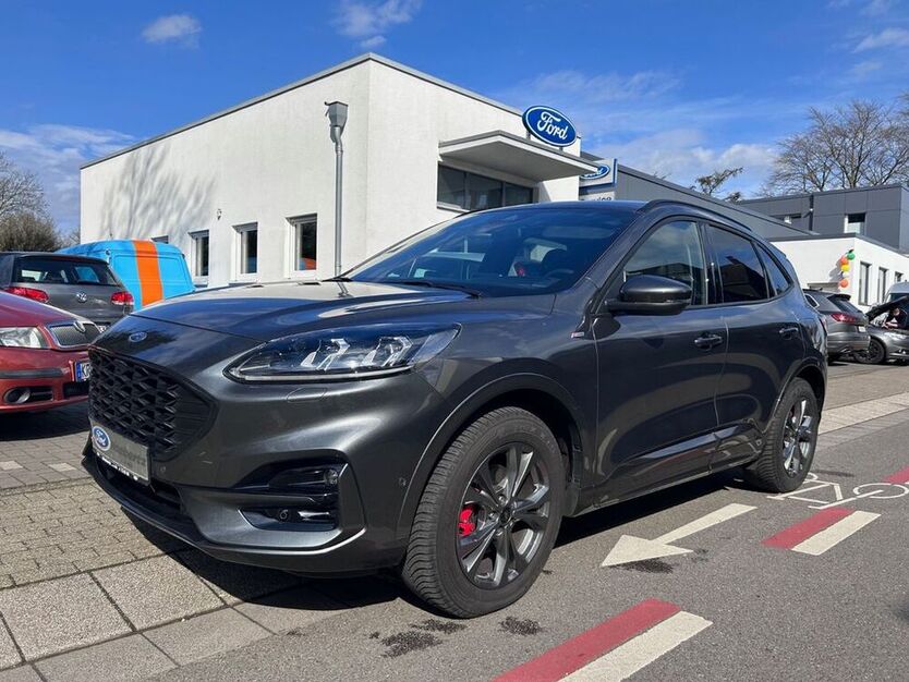 Kuga
