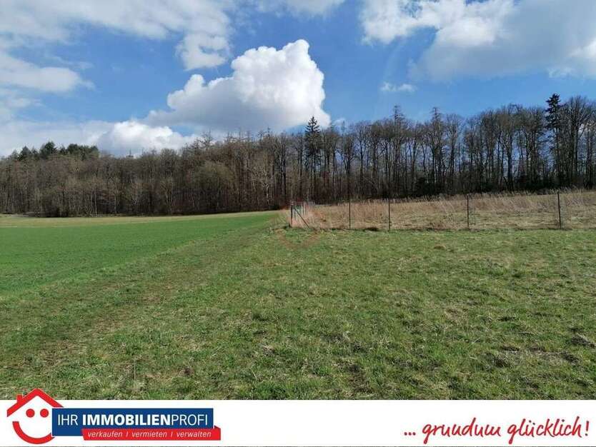 Grundstück zu verkaufen in Butzbach 145.000 € 640 m²