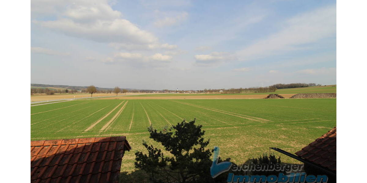 Einfamilienhaus Reisbach Obermünchsdorf - 6 Zimmer, 170 m&sup2;, 395.000&euro; | Angebot:26410884