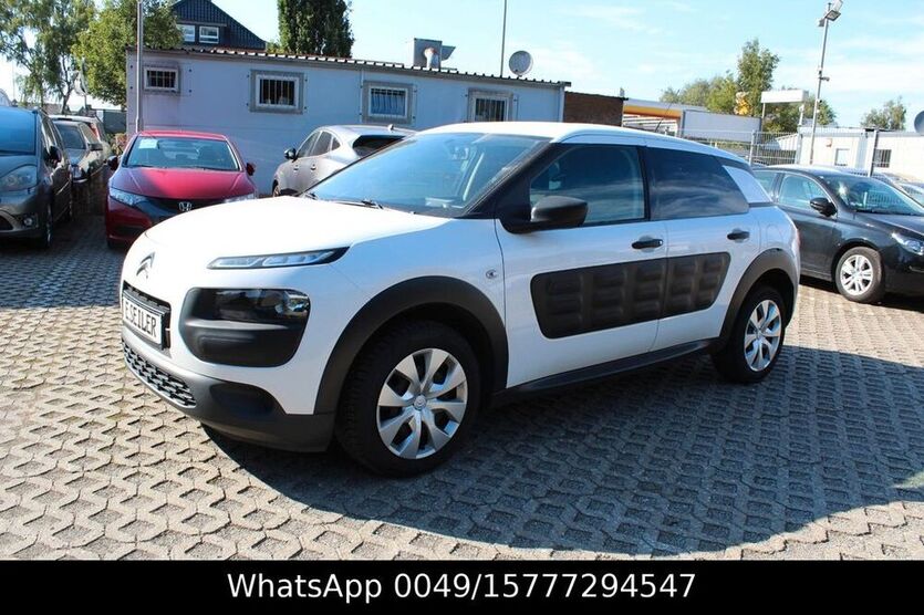 C4 Cactus