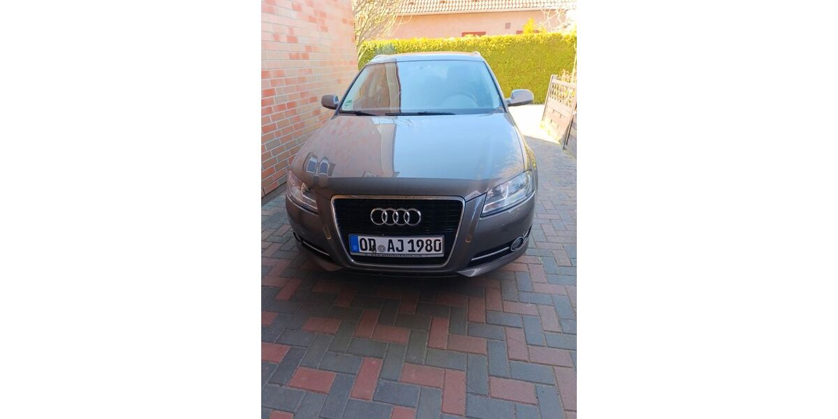 Audi A3 230.000 km 5.500 &euro; Trittau 22946