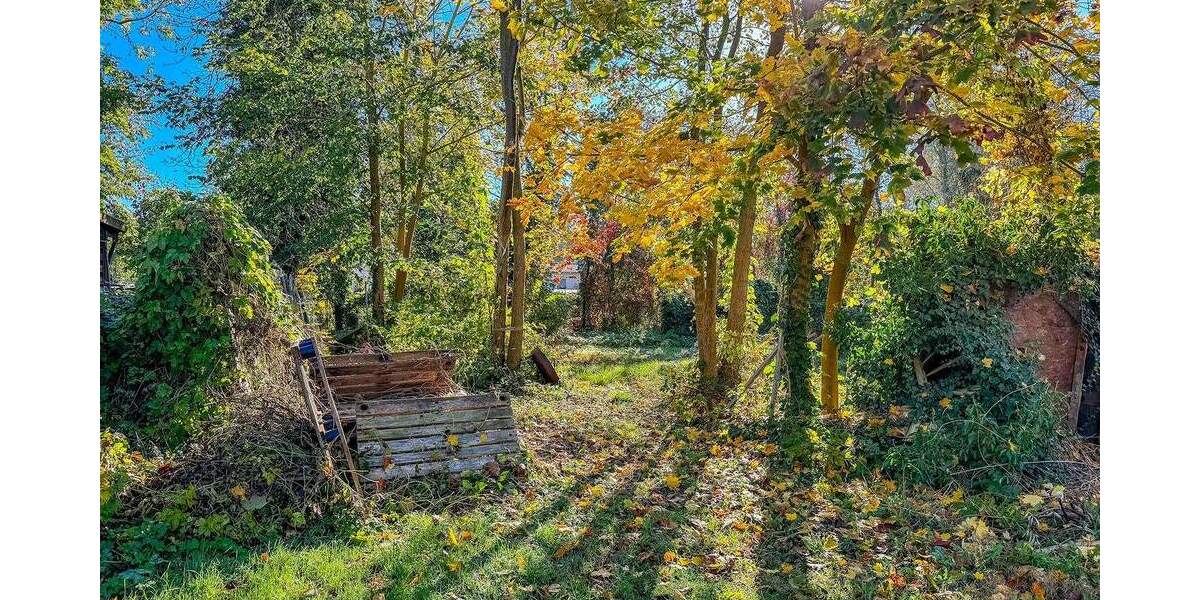 Grundstück Königs Wusterhausen Niederlehme - 300.000&euro; | Angebot:25663218