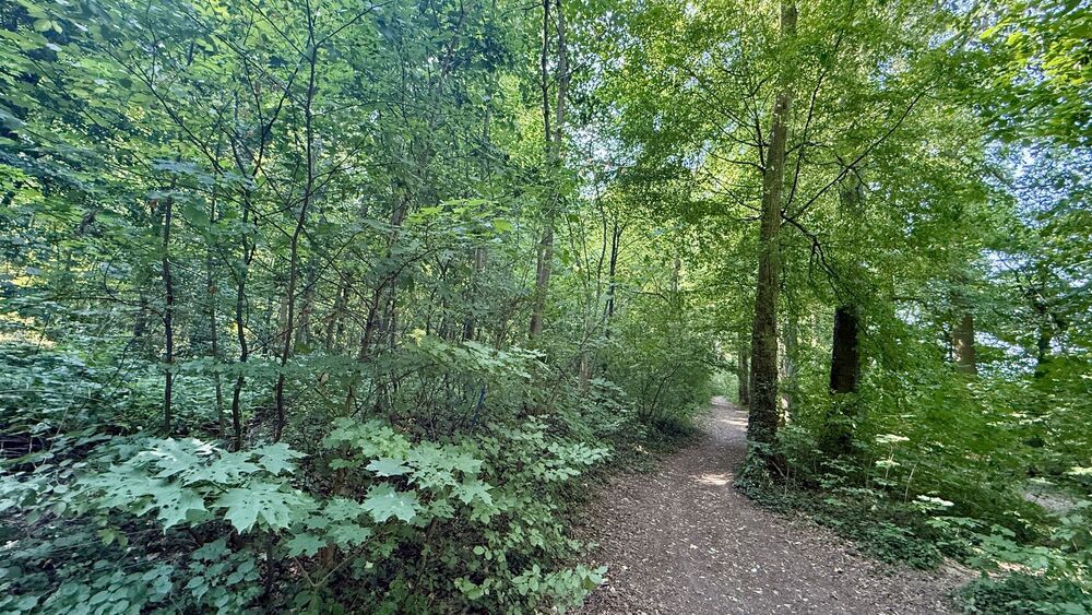 Reiheneckhaus Remseck-Hochberg 3-seitig frei, Garten & Waldnähe ohne Käuferprovision - Einfamilienhaus Remseck Hochberg Hochberg | Angebot:27296102