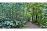 Reiheneckhaus Remseck-Hochberg 3-seitig frei, Garten & Waldnähe ohne Käuferprovision - Einfamilienhaus Remseck Hochberg Hochberg | Angebot:27296102