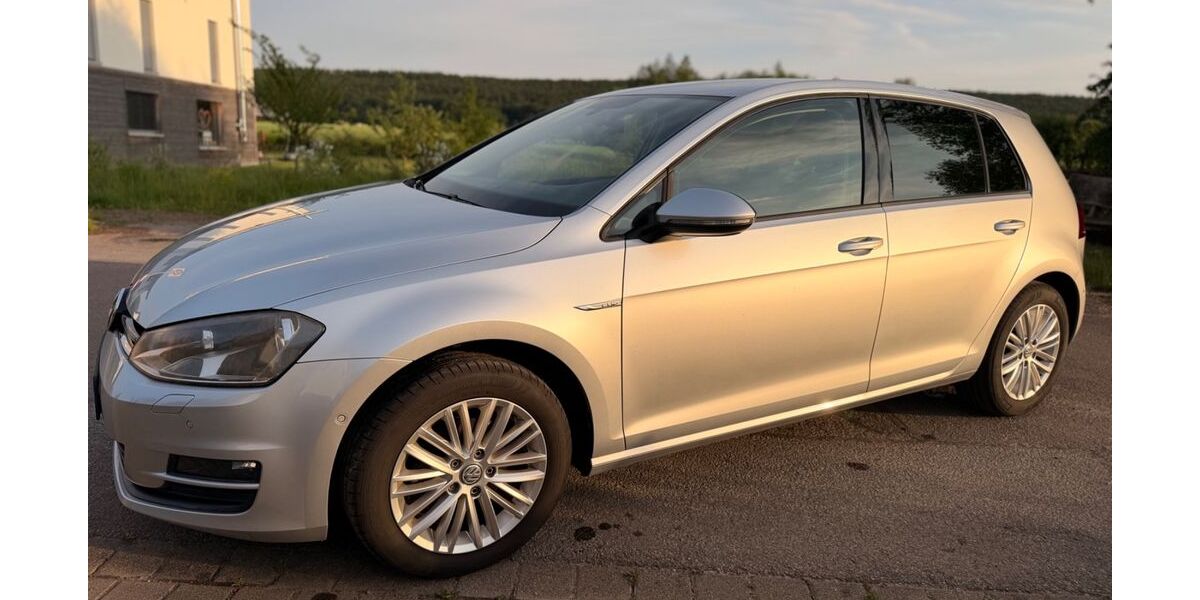 VW Golf 83.000 km 8.950 &euro; Hespe 31693