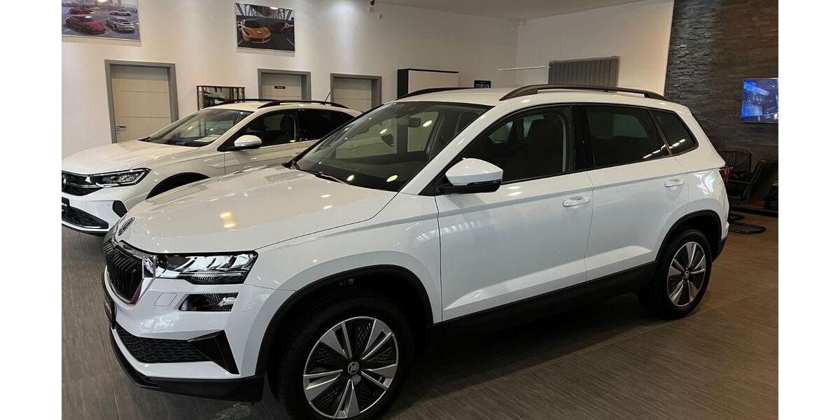 Skoda Karoq 194.932 km 17.985 &euro; Volkmarsen 34471