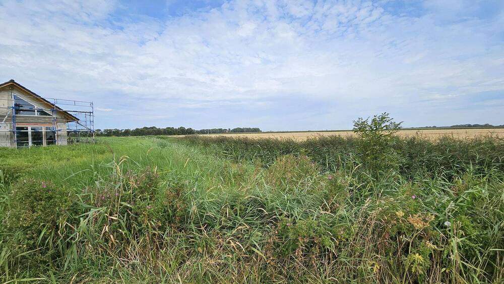 Grundstück Wurster Nordseeküste Cappel-Neufeld - 186.000&euro; | Angebot:25798109