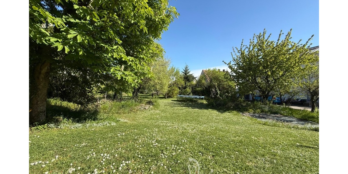 Sonniges Baugrundstück für Einfamilien-, oder Doppelhaus in einer der schönsten Lagen von Höchberg - Grundstück Höchberg | Angebot:26947539