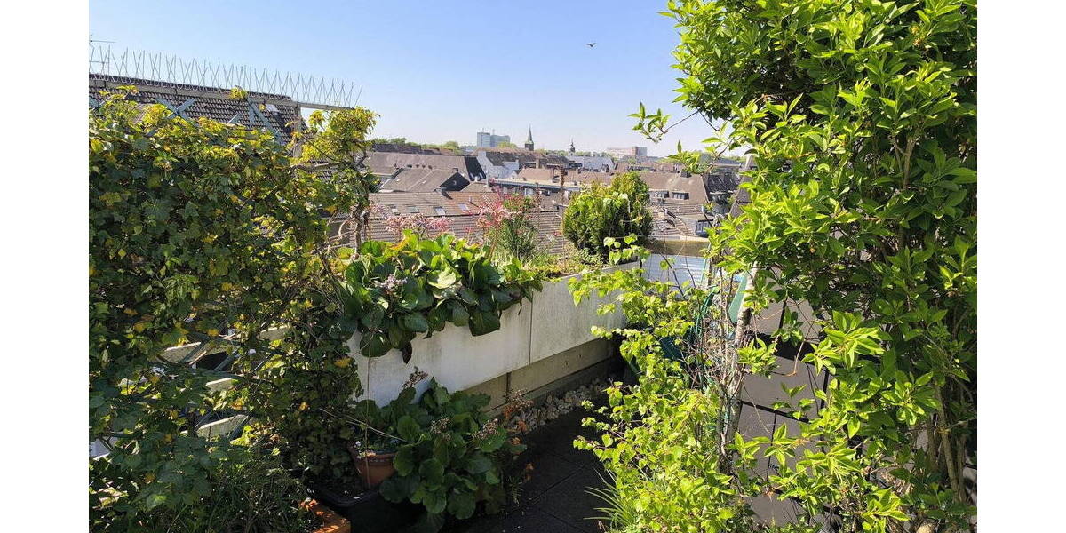 Terrassenwohnung Dinslaken Innenstadt - 4 Zimmer, 147 m&sup2;, 260.000&euro; | Angebot:26418076