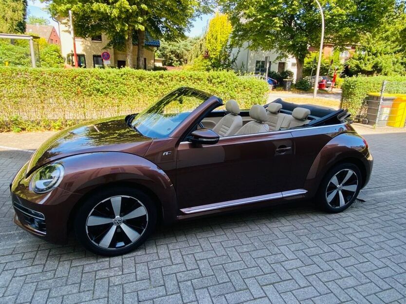 Beetle