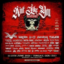 Tagesticket Donnerstag - Ain't Like You Festival 2026 11.06.2026 Open Air Gelände