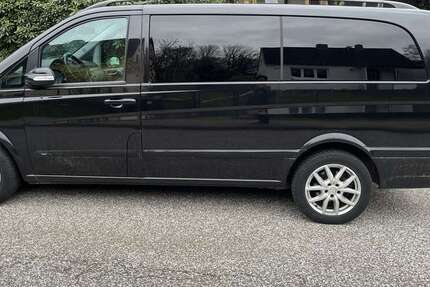Mercedes Viano