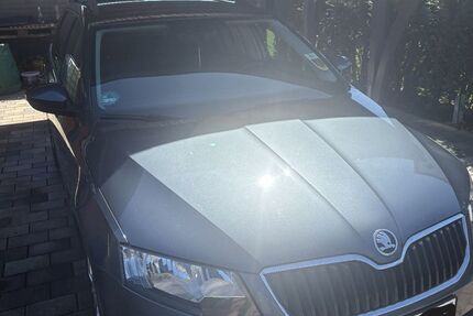 Skoda Octavia 239.700 km 8.500 &euro; Flöthe 38312