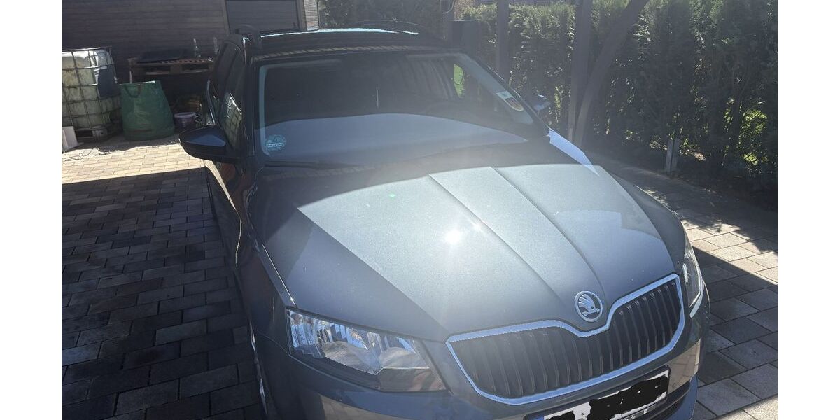 Skoda Octavia 239.700 km 8.500 &euro; Flöthe 38312