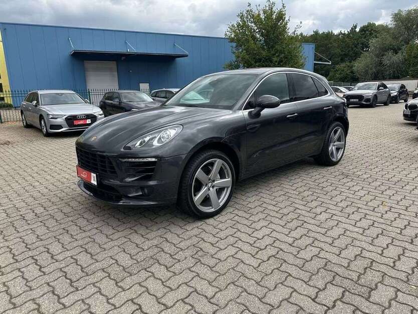Macan