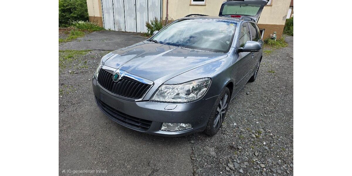 Skoda Octavia 81.600 km 8.300 &euro; Marktleugast 95352