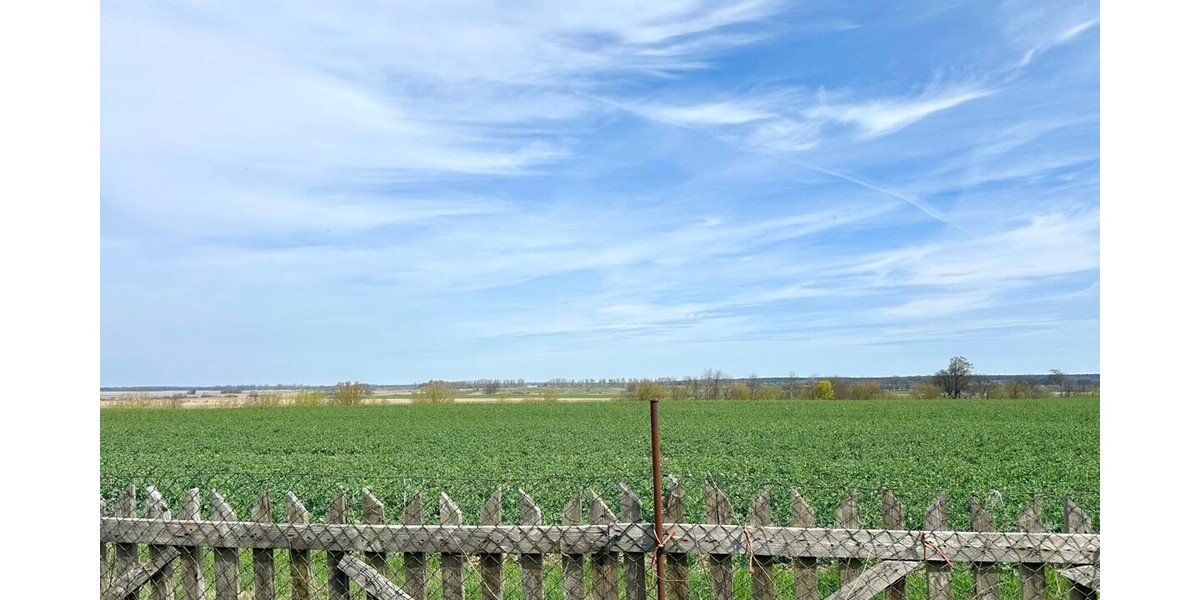 HORN IMMOBILIEN ++ Alleinlage gesucht? Einfamilienhaus, voll unterkellert in Gehren bei Strasburg - Einfamilienhaus Strasburg / Gehren Gehren | Angebot:26339671