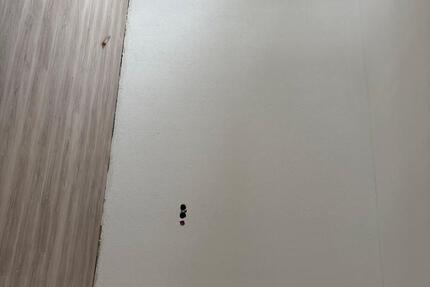 3 Zimmer Erdgeschoss Wohnung 3 zimmer